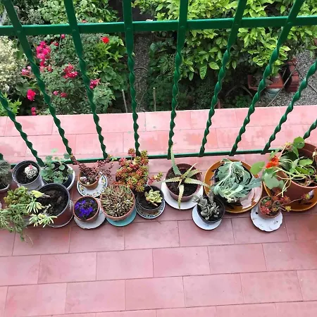 Apartmán Magical House Sanremo