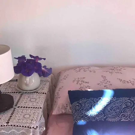 Magical House